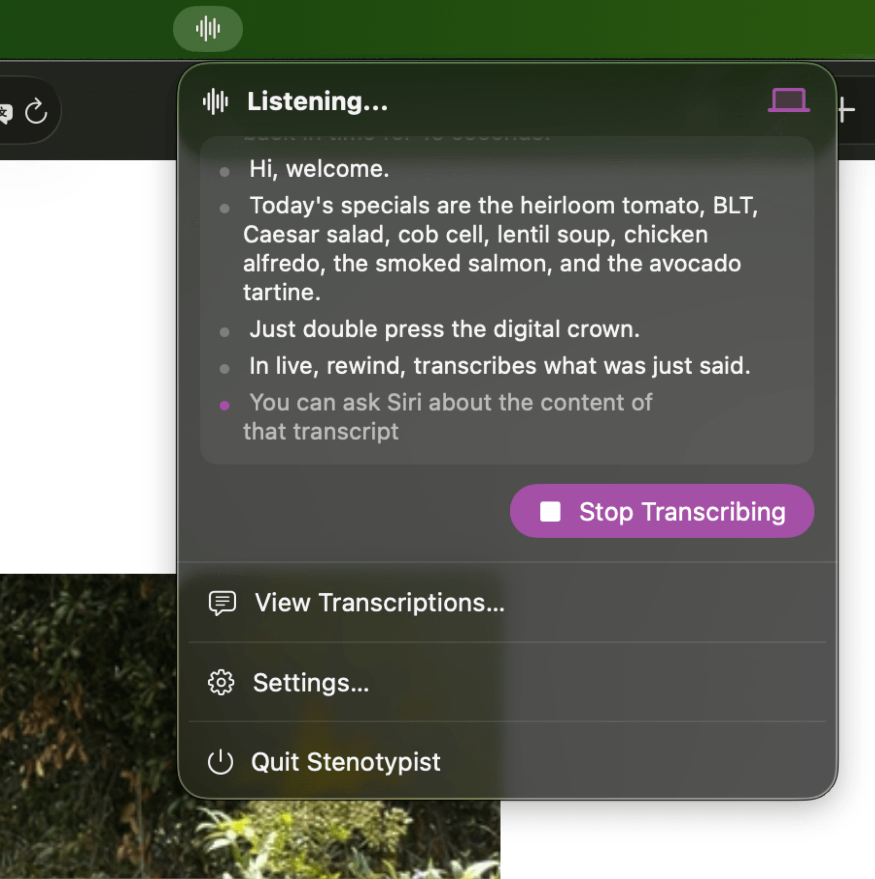 Stenotypist’s menu bar popover showing live transcription and a Stop Transcribing control.